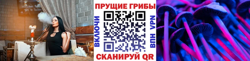 Галлюциногенные грибы Cubensis  магазин продажи наркотиков  Среднеколымск 